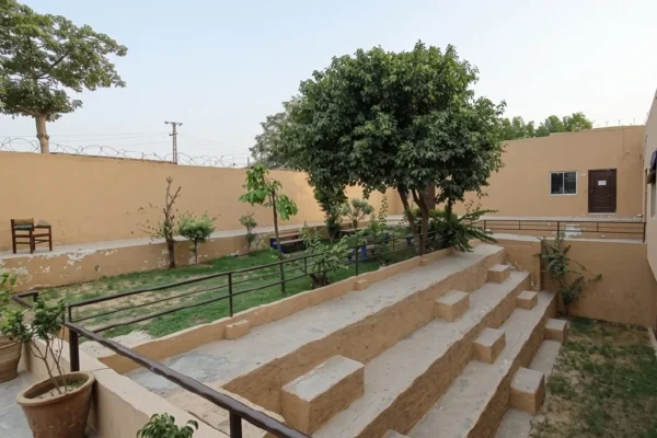 cats_college_building (2)