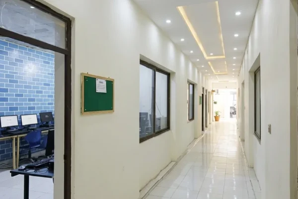 cats_college_building (4)