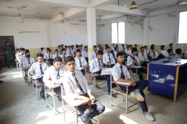 cats_college_gallery (13)