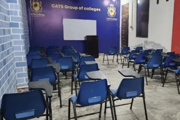 cats_college_gallery (15)