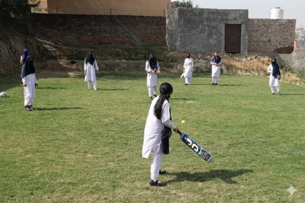 sports_cats_college (1)