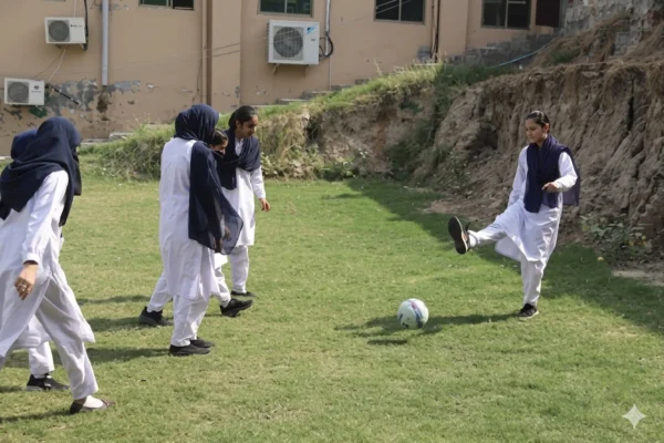 sports_cats_college (4)
